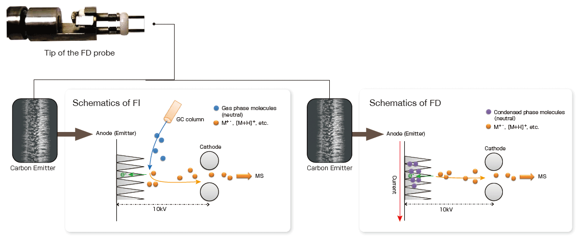 FD (Field Desorption)